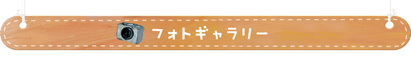 フォトギャラリー